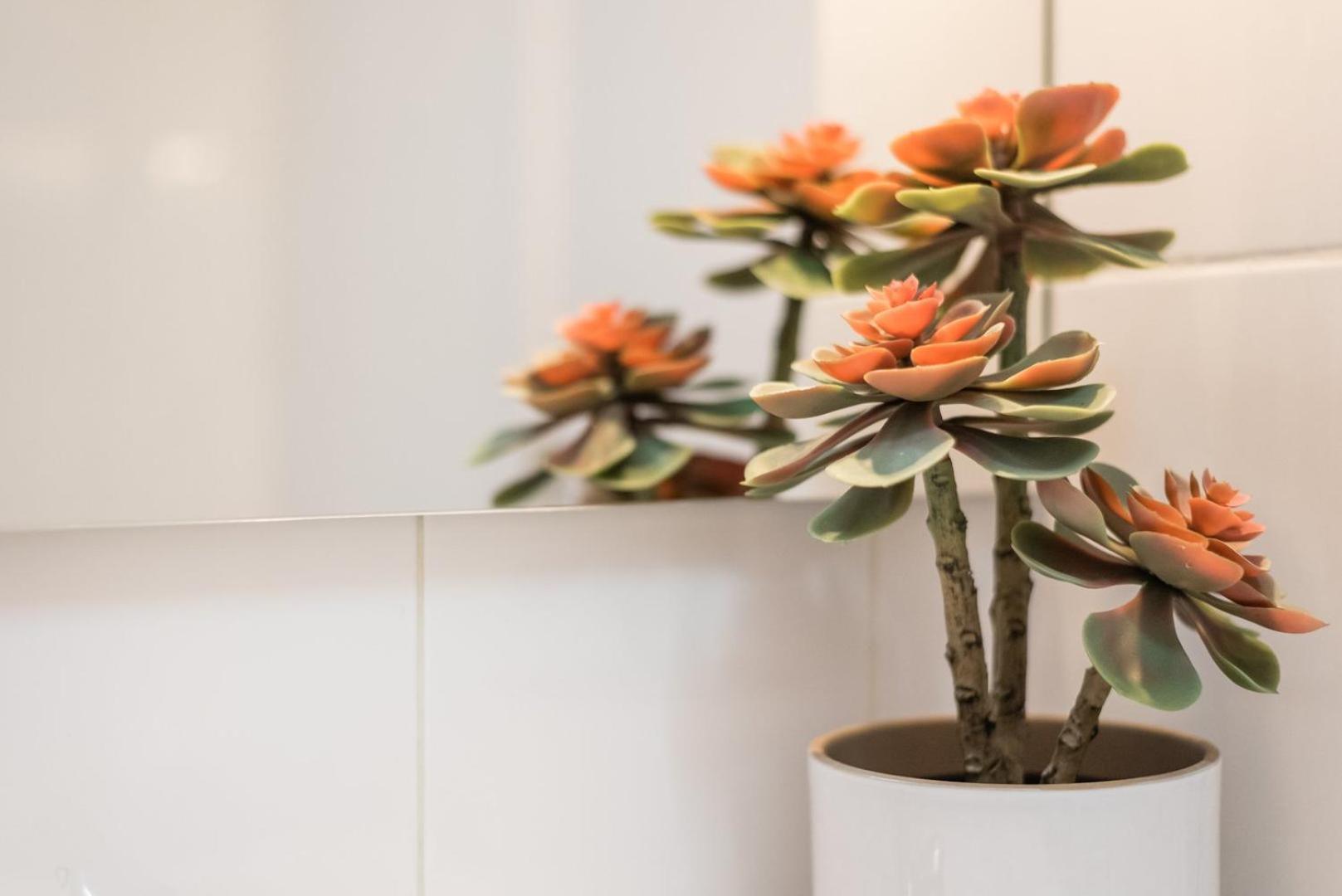 Guestready - Miragaia Green Porto Kültér fotó
